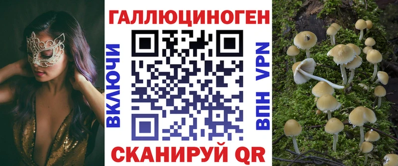 Галлюциногенные грибы Psilocybine cubensis  blacksprut онион  Шагонар  наркота 